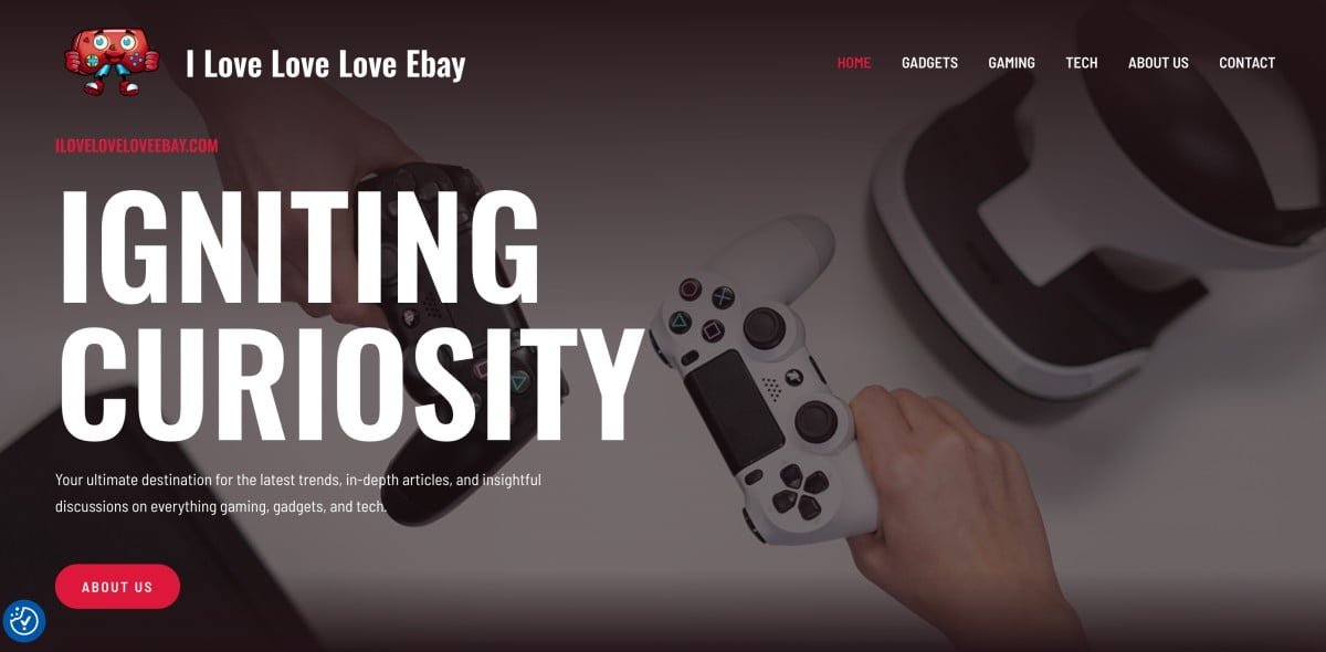 iloveloveloveebay.com
